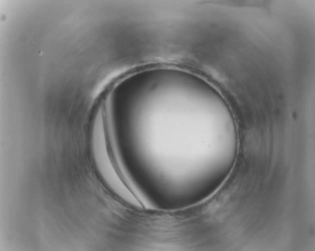 X0000089431214200707061335