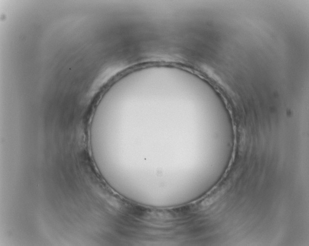 X0000089431215200707061335