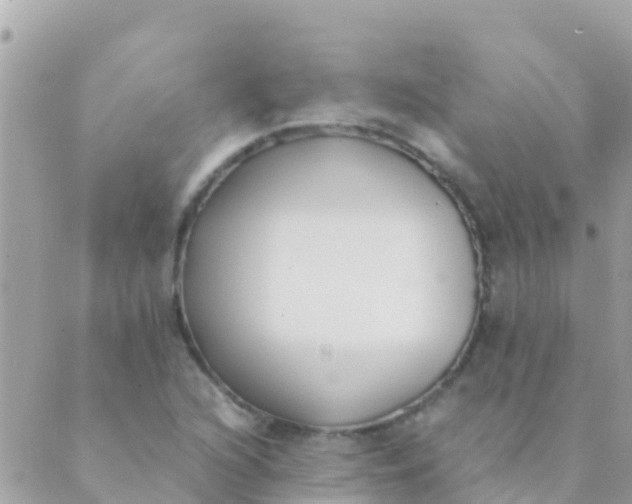 X0000089431216200707061335