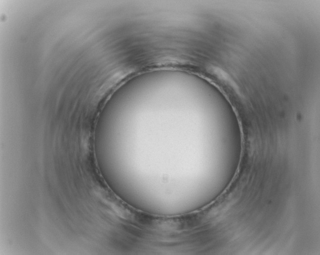 X0000089431217200707061335