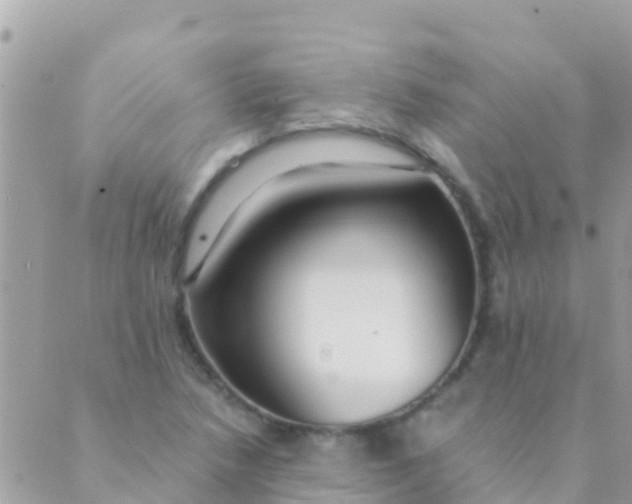 X0000089431218200707061335