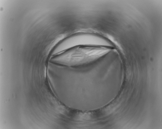 X0000089431221200707061335