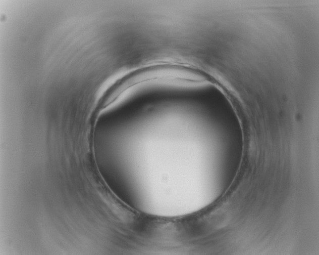 X0000089431222200707061335