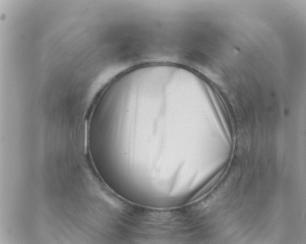 X0000089431223200707061335