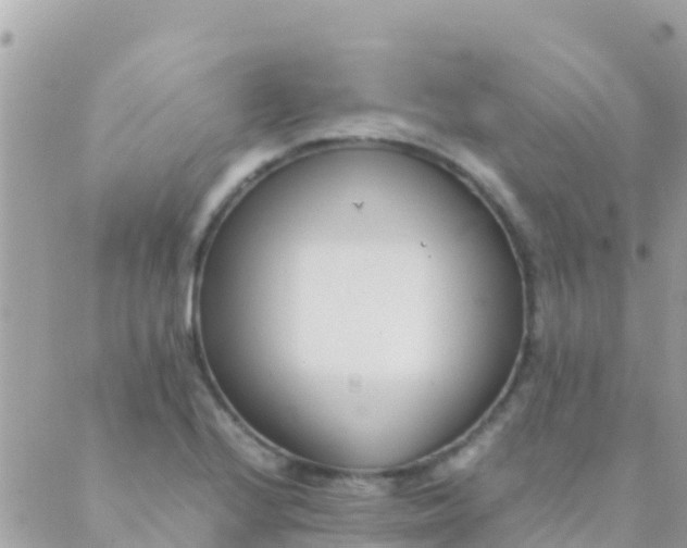 X0000089431224200707061335