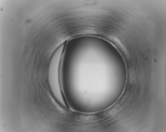 X0000089431225200707061335