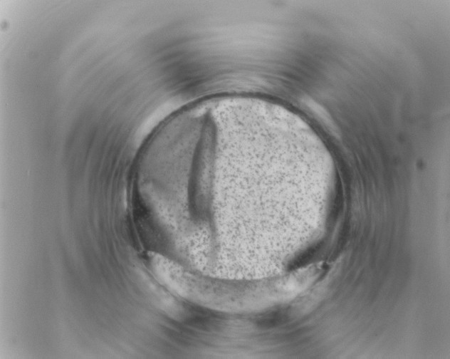 X0000089431226200707061335