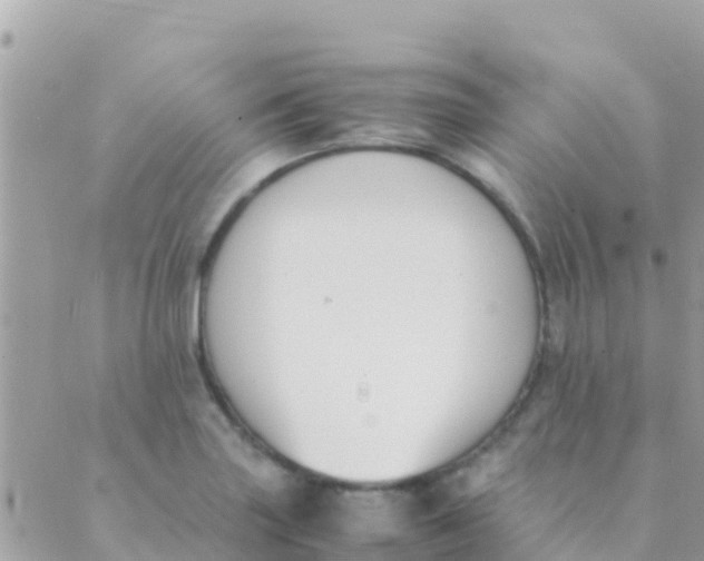 X0000089431227200707061335