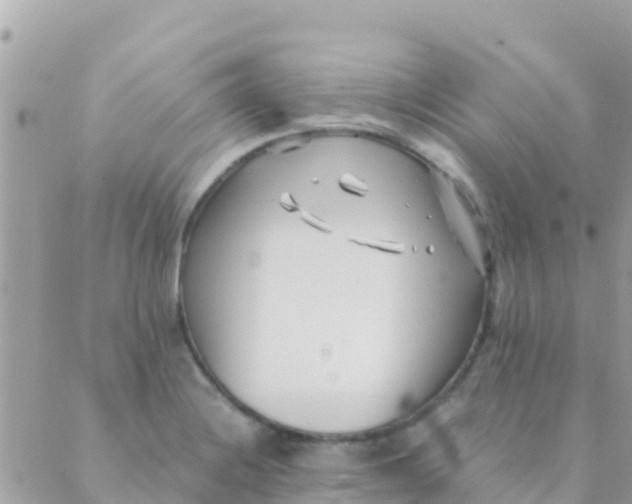 X0000089431228200707061335