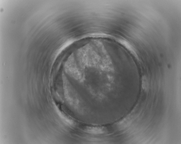 X0000089431229200707061335