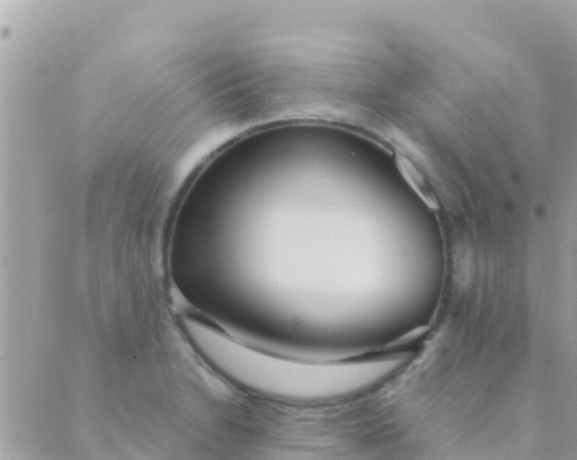 X0000089431230200707061335