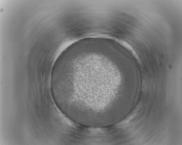 X0000089431231200707061335