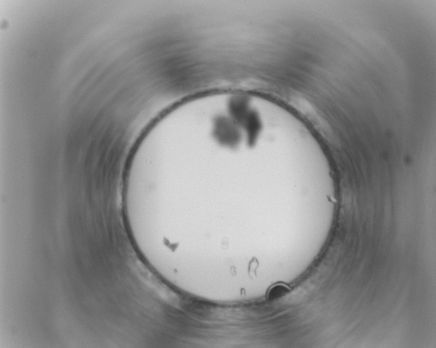 X0000089431232200707061335