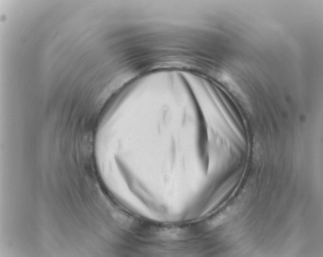 X0000089431233200707061335