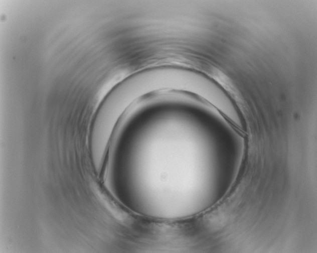 X0000089431234200707061335