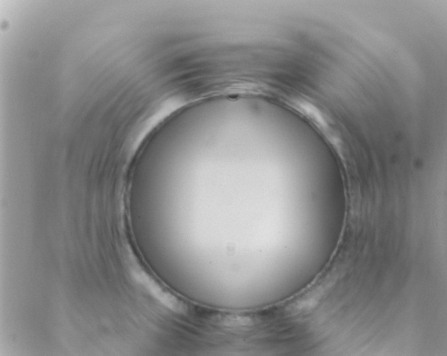 X0000089431235200707061335