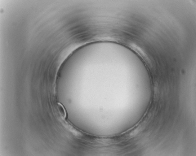 X0000089431236200707061335