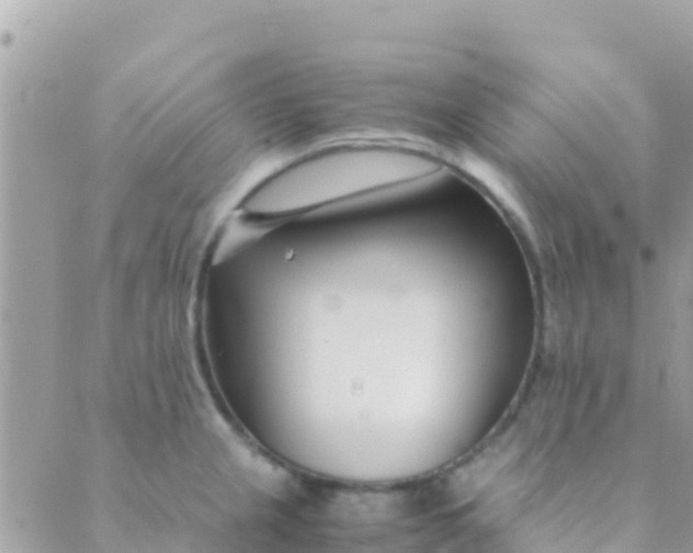 X0000089431237200707061335