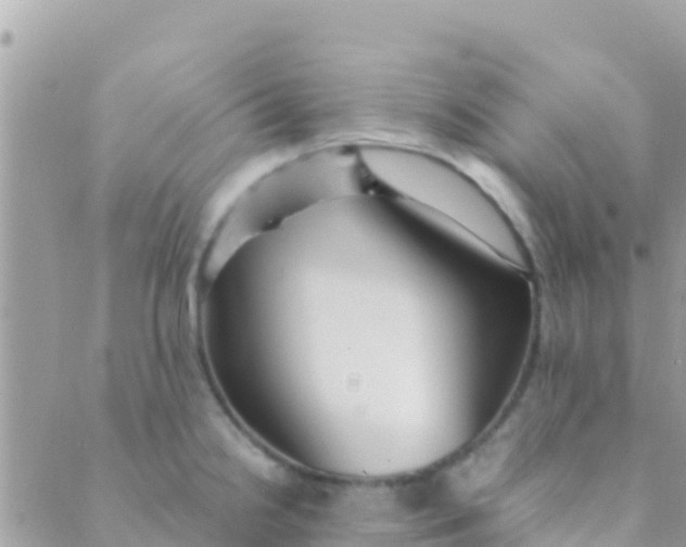 X0000089431238200707061335