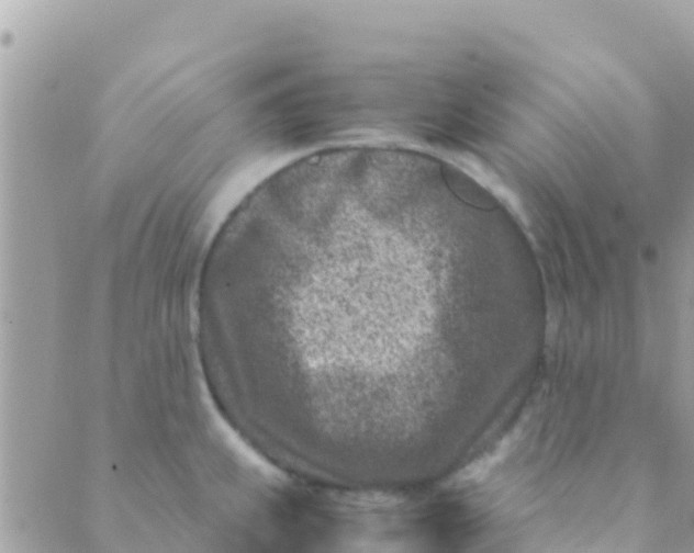 X0000089431239200707061335