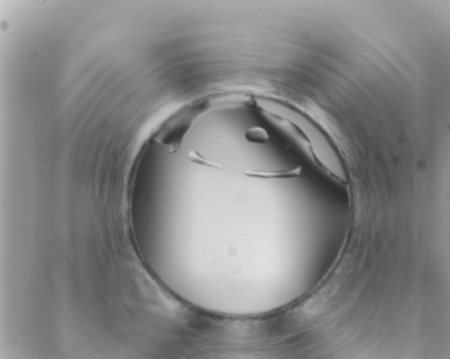 X0000089431240200707061336