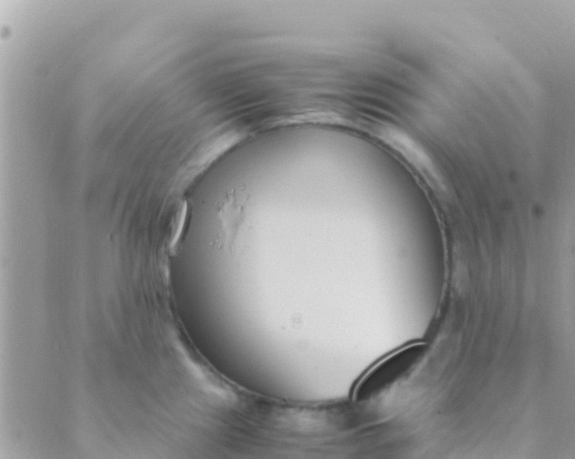 X0000089431241200707061336