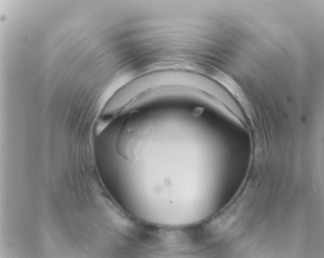 X0000089431242200707061336