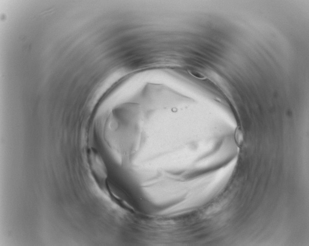 X0000089431243200707061336