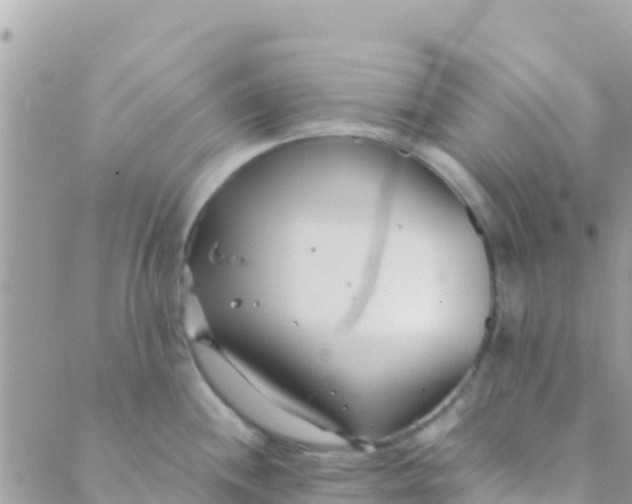 X0000089431244200707061336