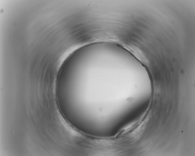 X0000089431246200707061336