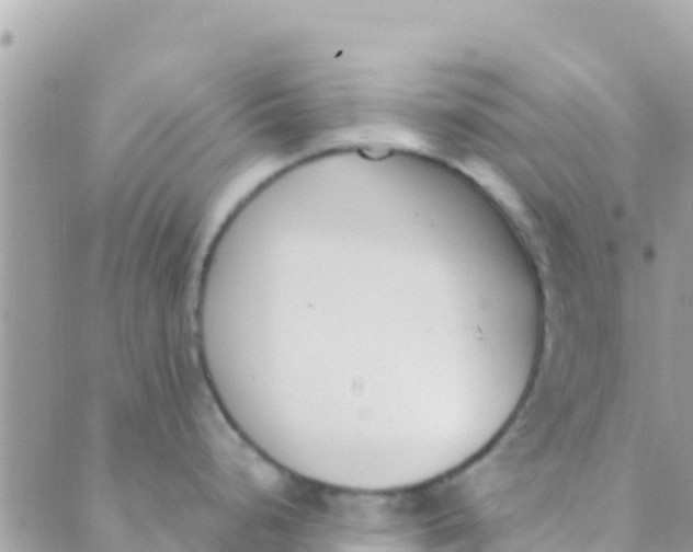 X0000089431248200707061336