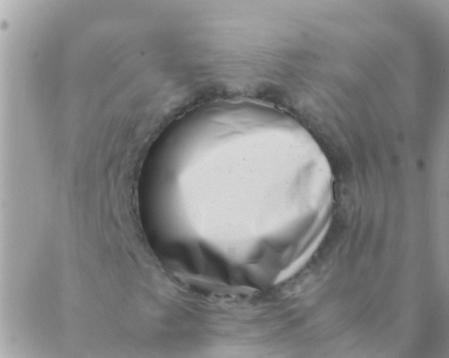 X0000089431249200707061335