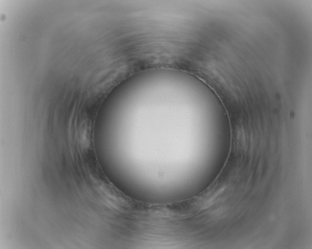 X0000089431250200707061335