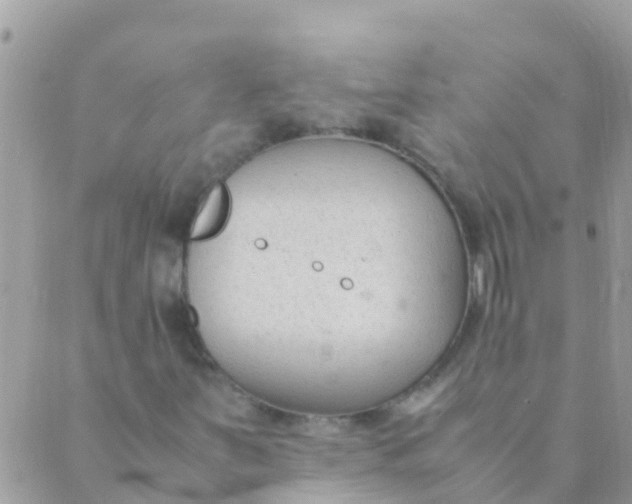 X0000089431251200707061335