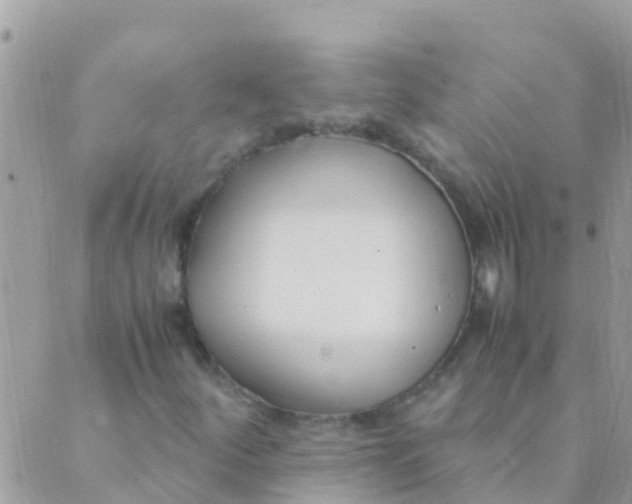 X0000089431252200707061335