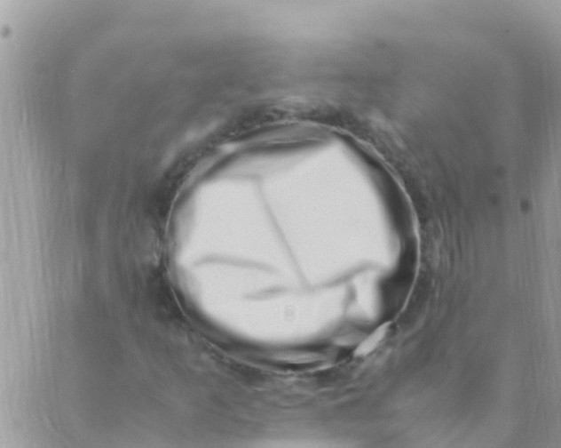 X0000089431253200707061335