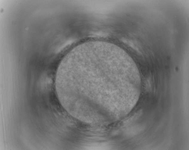 X0000089431254200707061335