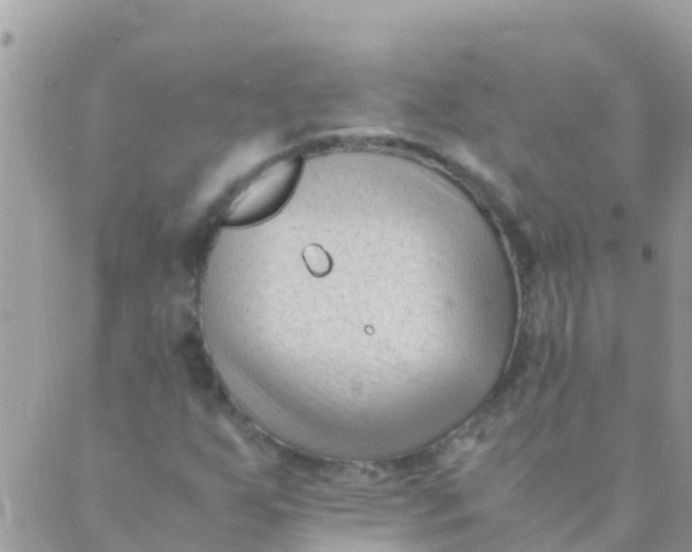 X0000089431255200707061335