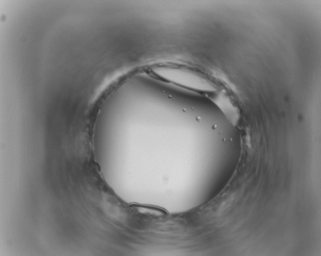 X0000089431256200707061335