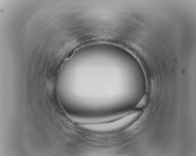 X0000089431257200707061335