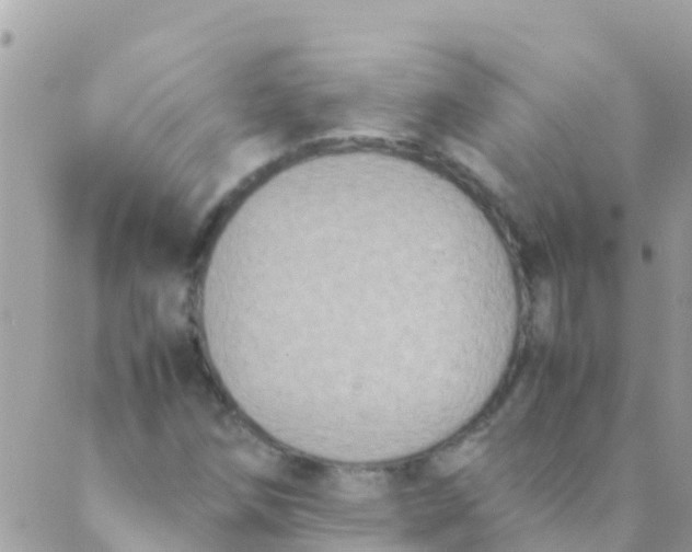 X0000089431258200707061335