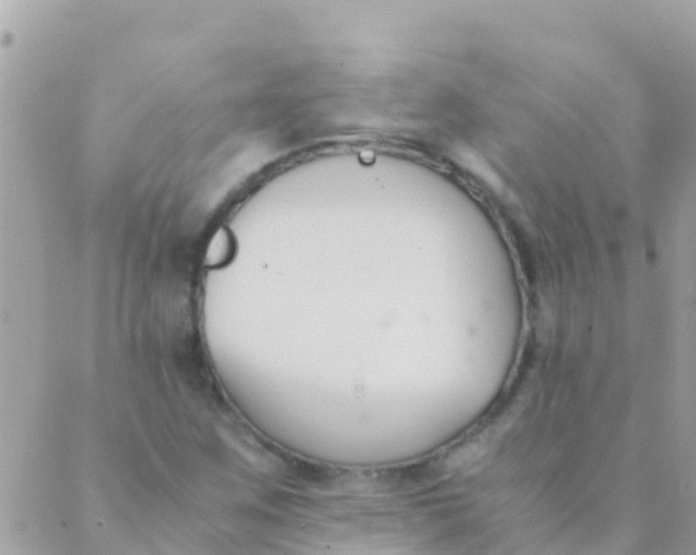 X0000089431259200707061335