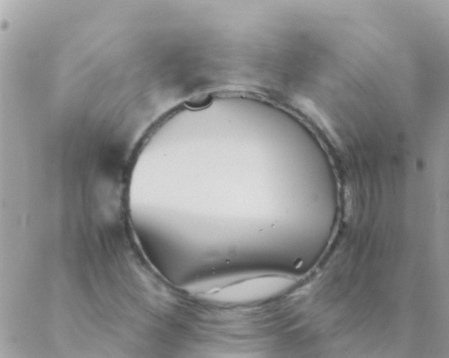 X0000089431260200707061335