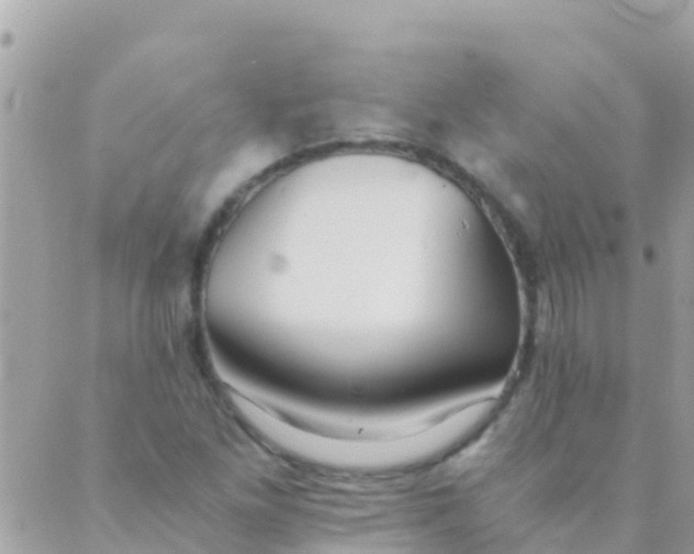 X0000089431261200707061335