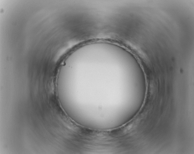 X0000089431262200707061335