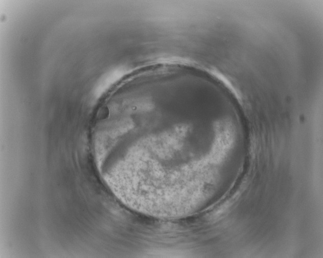 X0000089431263200707061335