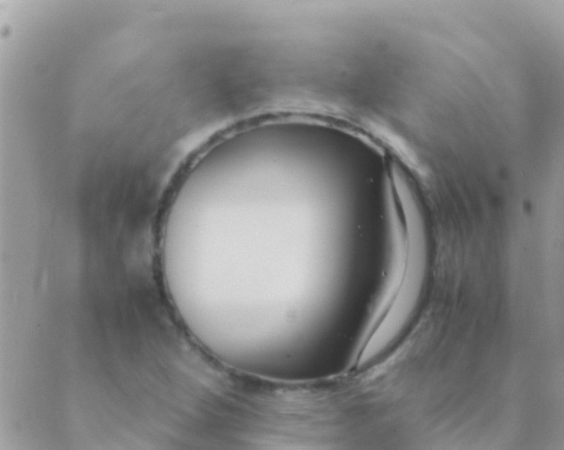 X0000089431264200707061335