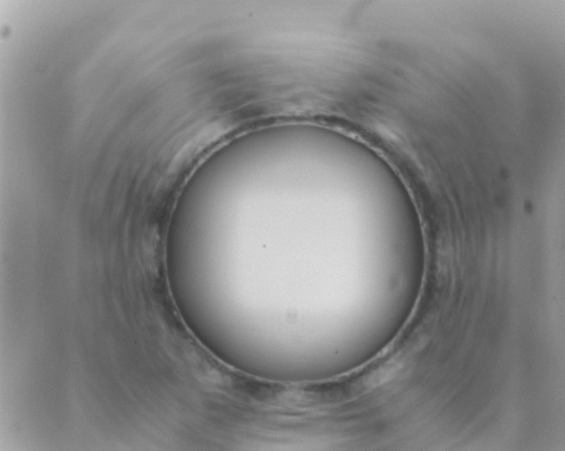 X0000089431265200707061335