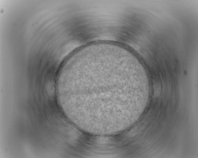 X0000089431266200707061335