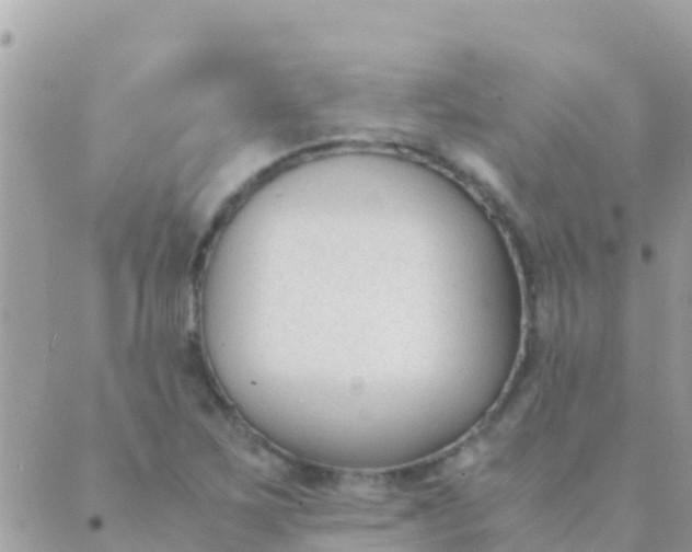 X0000089431267200707061335